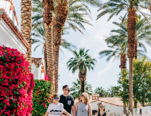 Capturing Palm Springs with Flytographer