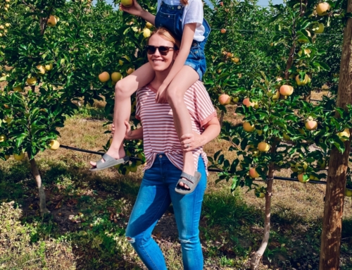 Apple Picking at Davison Orchards