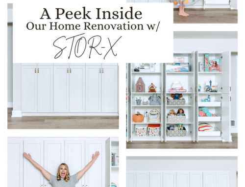 A Peek Inside our Home Renovation with STOR-X