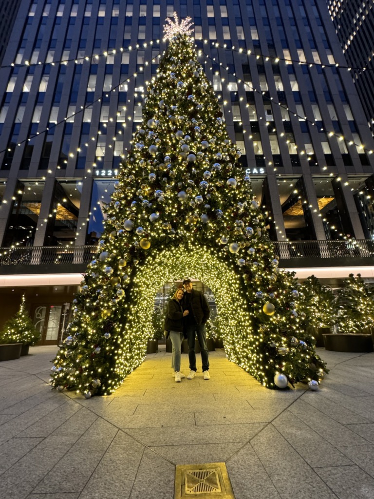 Avenue of Americas Christmas Tree